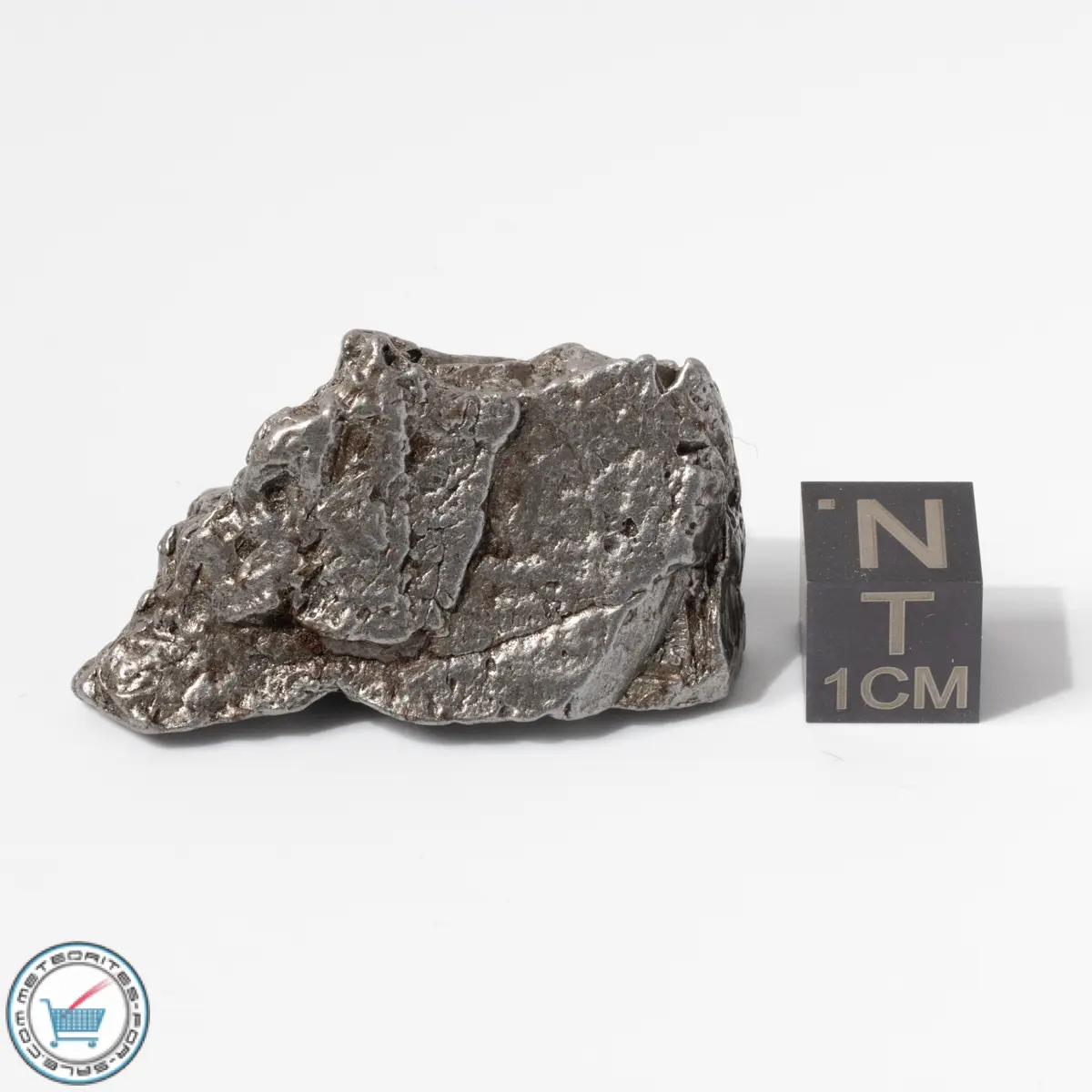 Aletai Meteorite 38.0g Crystal