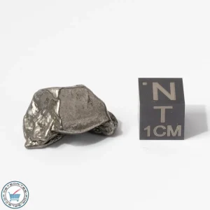 Aletai Meteorite 11.6g Crystal