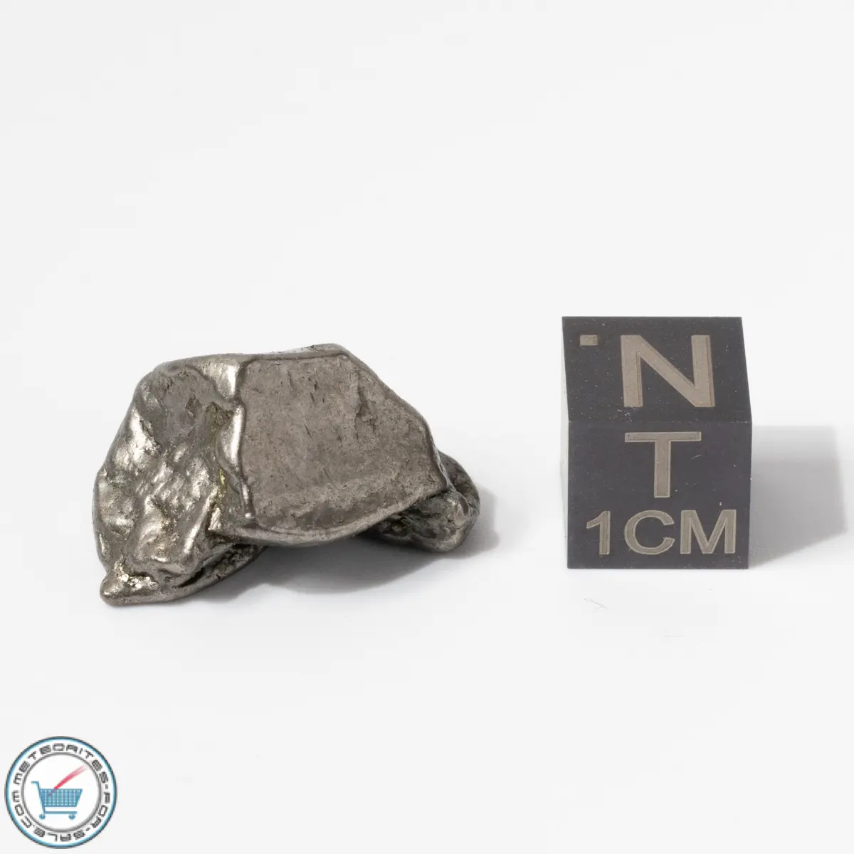 Aletai Meteorite 11.6g Crystal