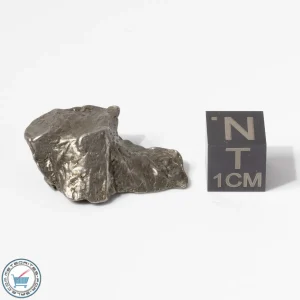 Aletai Meteorite 12.1g Crystal