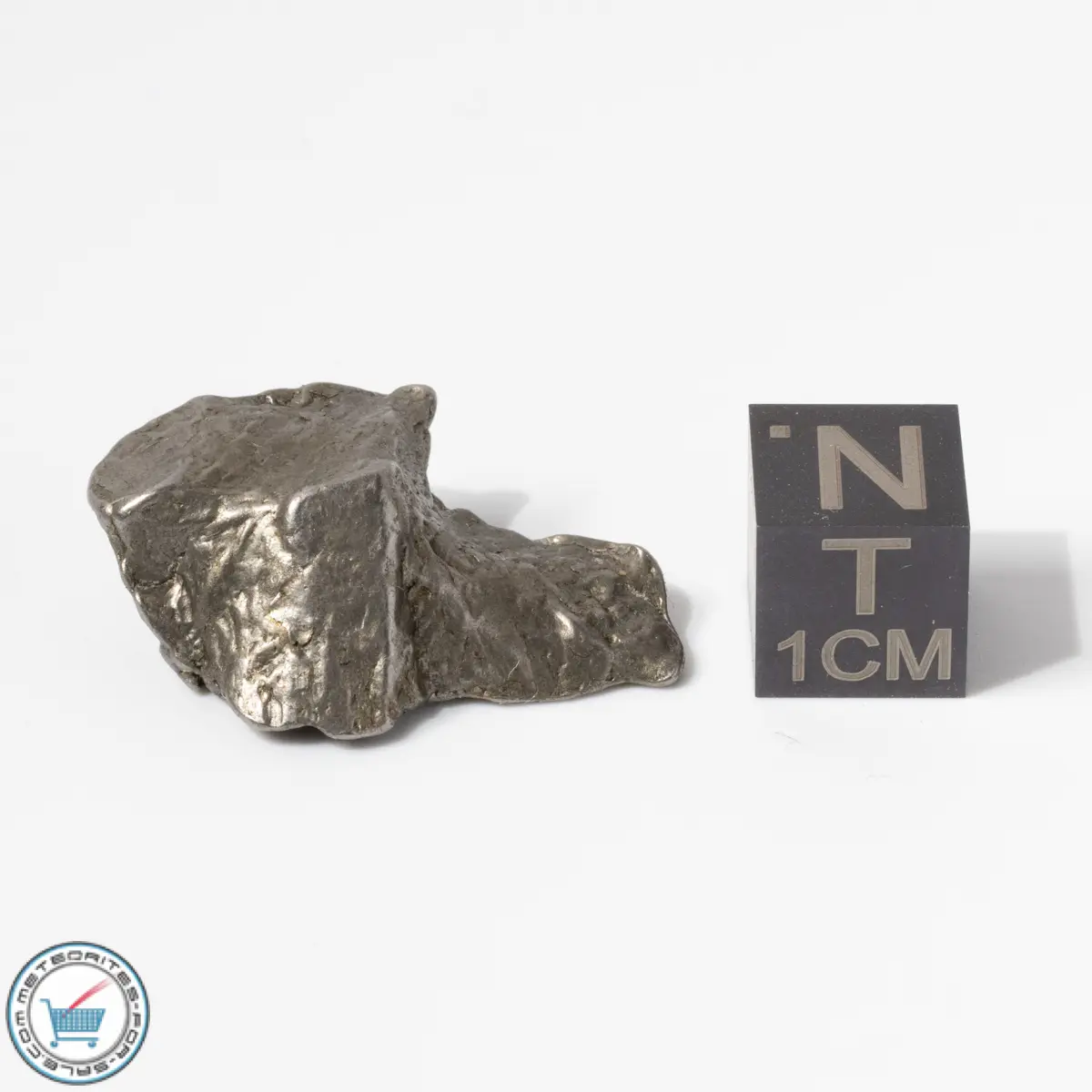 Aletai Meteorite 12.1g Crystal