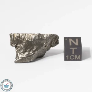 Aletai Meteorite 12.3g Crystal