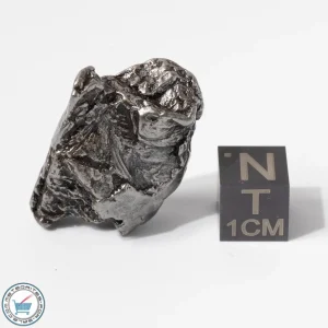 Aletai Meteorite 25.1g Crystal