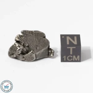 Aletai Meteorite 10.0g Crystal