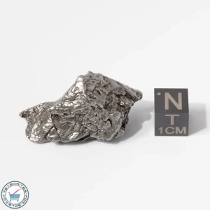 Aletai Meteorite 28.1g Crystal