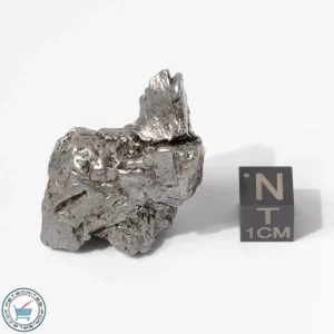 Aletai Meteorite 49.9g Crystal