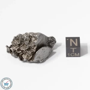 Aletai Meteorite 40.0g Crystal