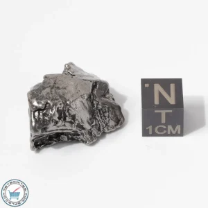 Aletai Meteorite 25.8g Crystal