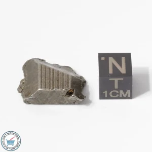 Aletai Meteorite 10.6g Crystal