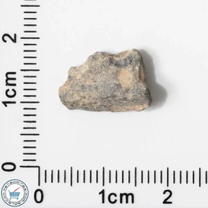 Bechar 003 Lunar Meteorite 0.74g End-Cut