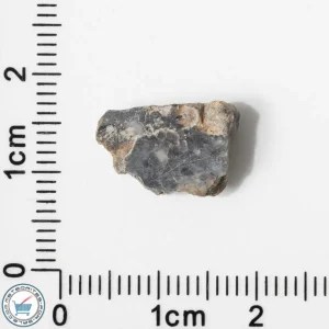 Bechar 003 Lunar Meteorite 0.74g End-Cut