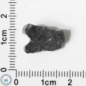 Bechar 003 Lunar Meteorite 0.93g End-Cut