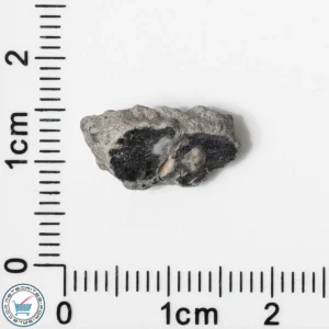 Bechar 003 Lunar Meteorite 0.74g End-Cut