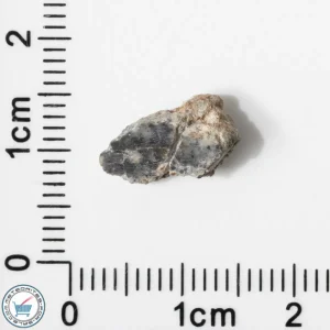 Bechar 003 Lunar Meteorite 0.49g End-Cut