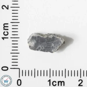 Bechar 003 Lunar Meteorite 0.38g End-Cut