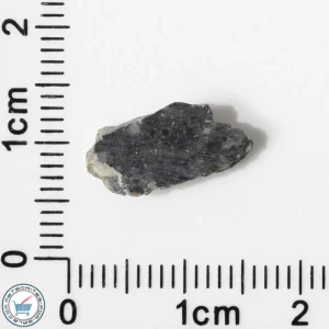 Bechar 003 Lunar Meteorite 0.52g End-Cut