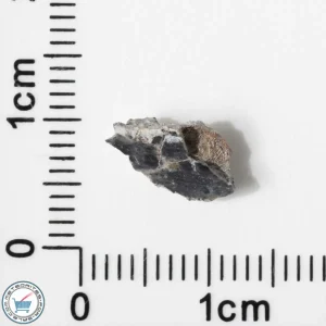 Bechar 003 Lunar Meteorite 0.28g End-Cut