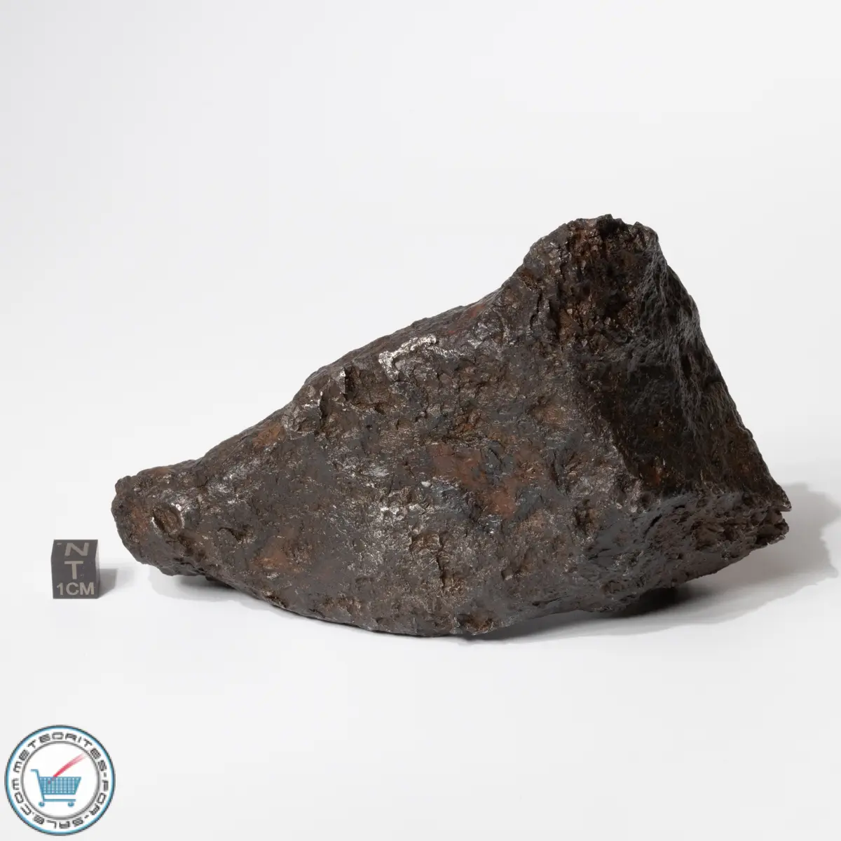 Campo del Cielo Meteorite 2260g