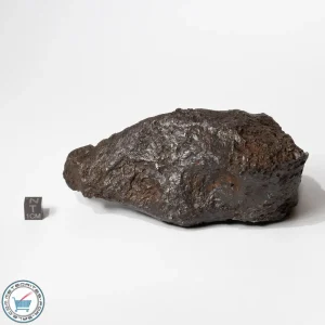 Campo del Cielo Meteorite 2260g