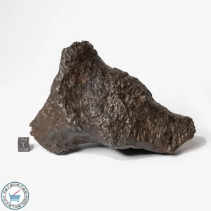 Campo del Cielo Meteorite 2260g