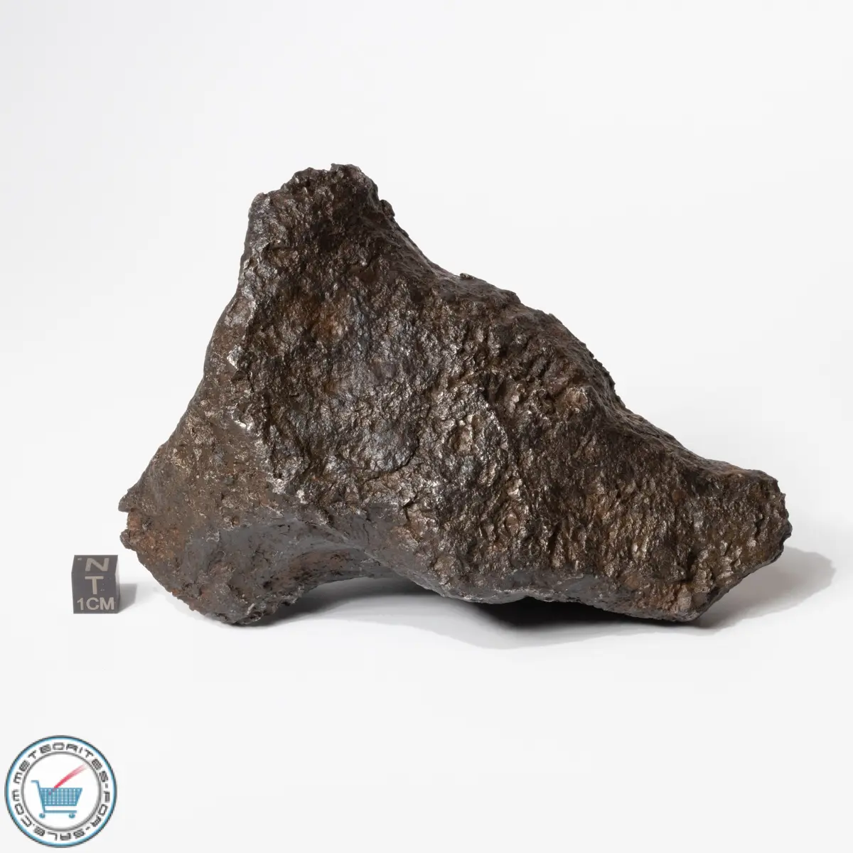 Campo del Cielo Meteorite 2260g