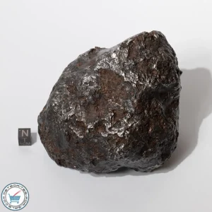 Campo del Cielo Meteorite 2806g