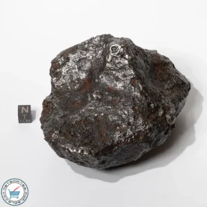 Campo del Cielo Meteorite 2806g