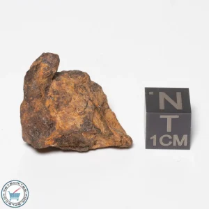 Canyon Diablo Meteorite 21.1g