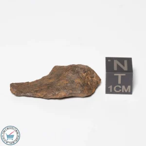 Canyon Diablo Meteorite 11.0g