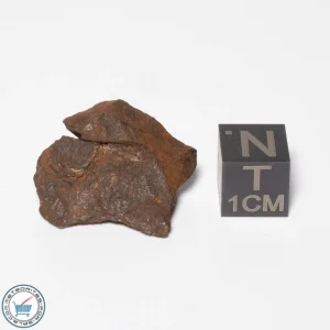 Canyon Diablo Meteorite 8.8g