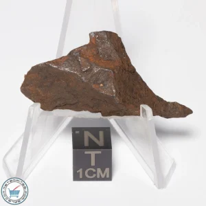 Canyon Diablo Meteorite 11.9g