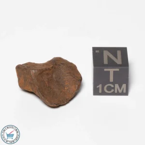 Canyon Diablo Meteorite 7.0g