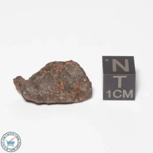 Canyon Diablo Meteorite 5.8g