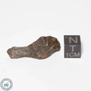 Canyon Diablo Meteorite 8.1g