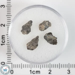 Laâyoune 002 Lunar Meteorite 0.43g