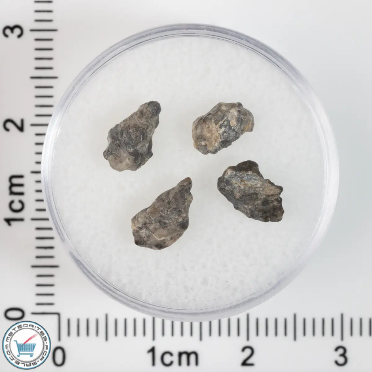 Laâyoune 002 Lunar Meteorite 0.43g