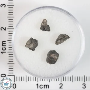 Laâyoune 002 Lunar Meteorite 0.38g