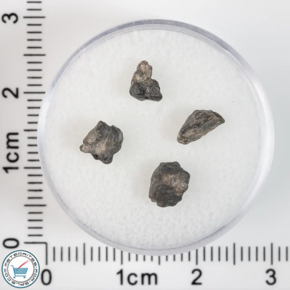 Laâyoune 002 Lunar Meteorite 0.38g