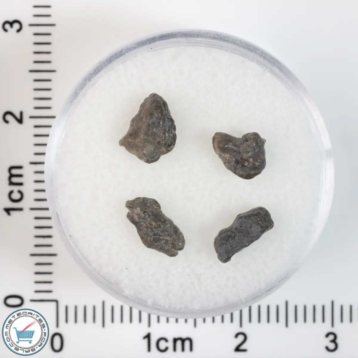 Laâyoune 002 Lunar Meteorite 0.45g
