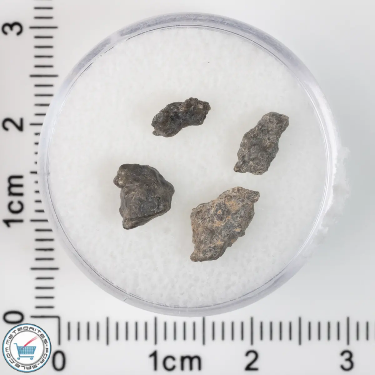 Laâyoune 002 Lunar Meteorite 0.48g