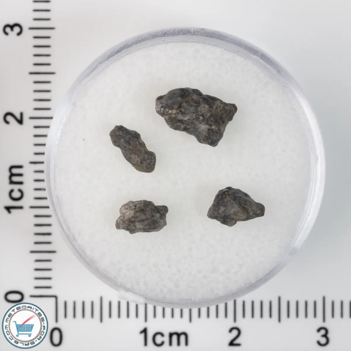 Laâyoune 002 Lunar Meteorite 0.43g