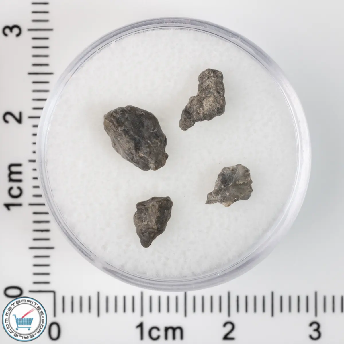 Laâyoune 002 Lunar Meteorite 0.45g