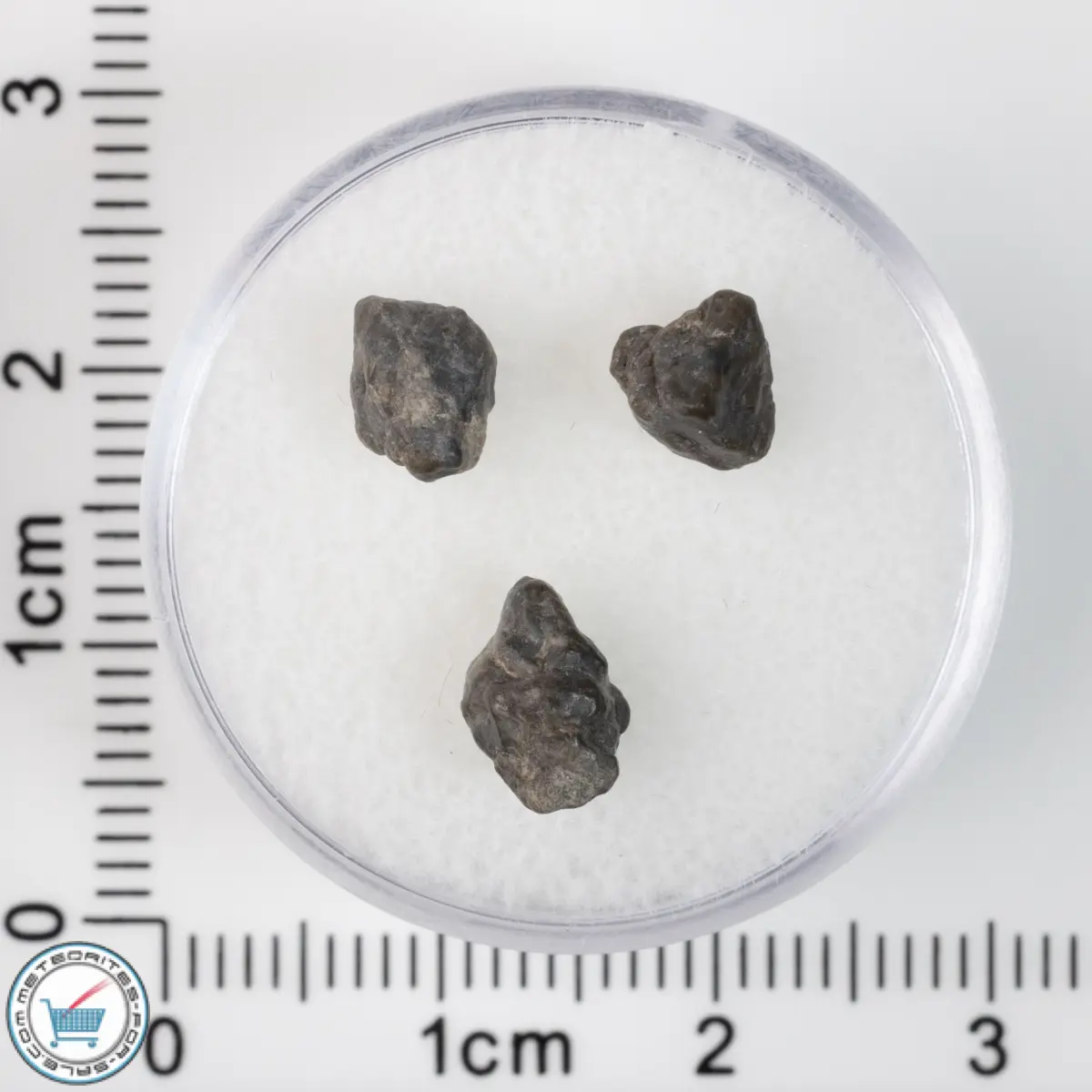 Laâyoune 002 Lunar Meteorite 0.55g