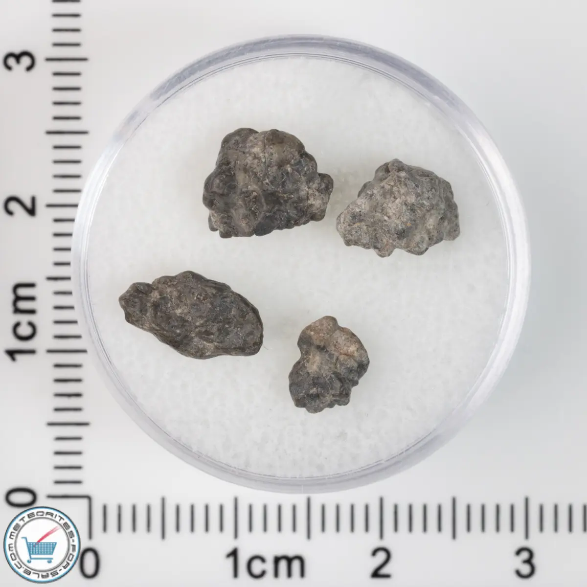 Laâyoune 002 Lunar Meteorite 0.93g