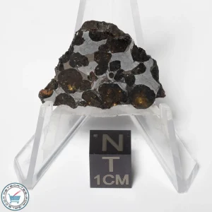 Sericho Pallasite Meteorite 5.7g
