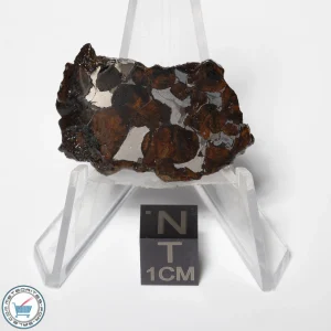Sericho Pallasite Meteorite 6.1g