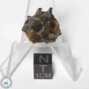 Sericho Pallasite Meteorite 2.0g