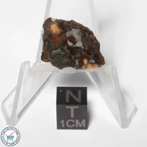 Sericho Pallasite Meteorite 3.4g