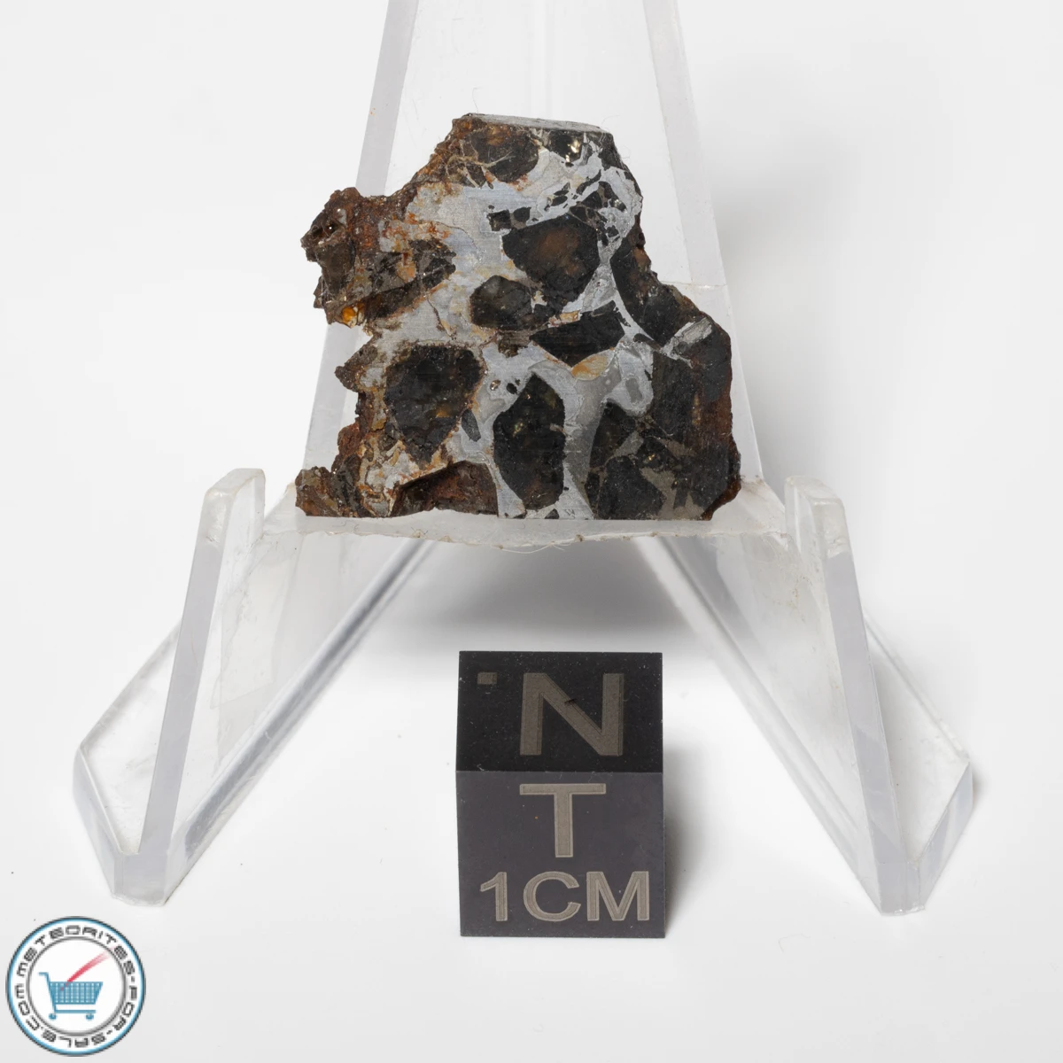 Sericho Pallasite Meteorite 6.4g