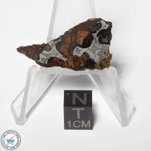 Sericho Pallasite Meteorite 3.6g